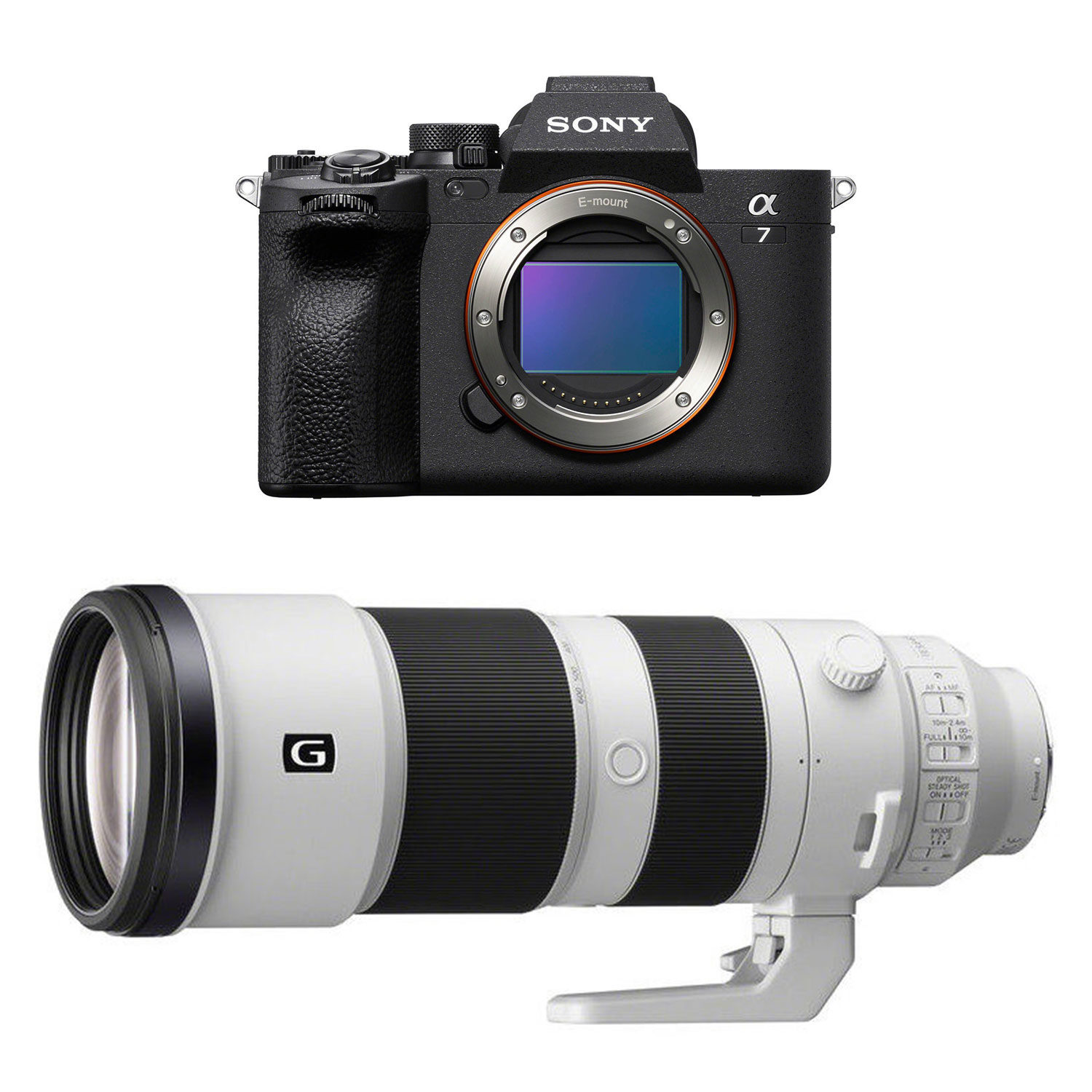 Sony A7 IV + FE 200-600mm f/5.6-6.3 G systeemcamera