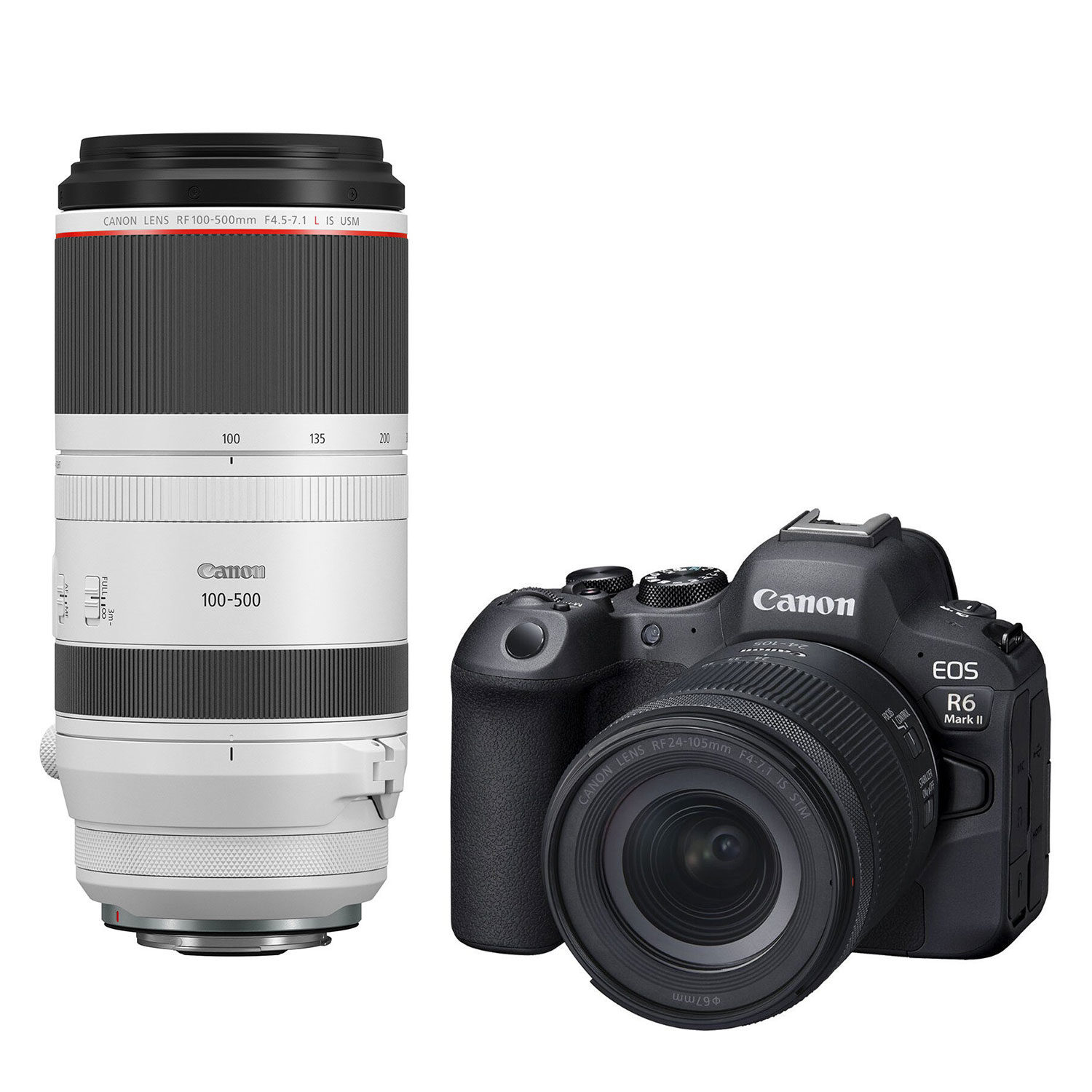 Canon EOS R6 Mark II + RF 24-105mm f/4-7.1 IS STM + RF 100-500mm f/4.5-7.1L IS USM